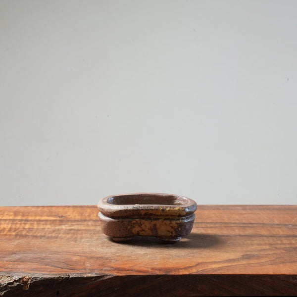 Eric Schrader Ash - Splashed Small Pot #19 - Bonsaify