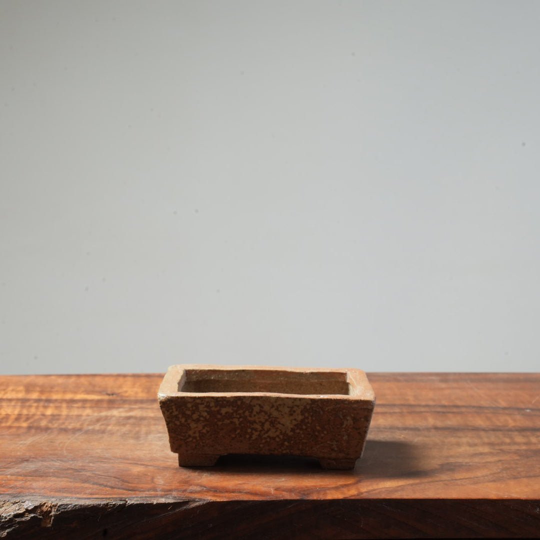 Eric Schrader Ash - Splashed Small Pot #20 - Bonsaify