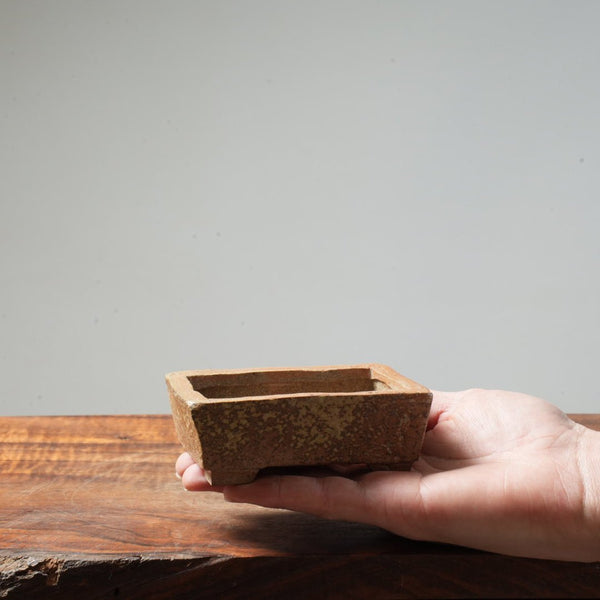 Eric Schrader Ash - Splashed Small Pot #20 - Bonsaify