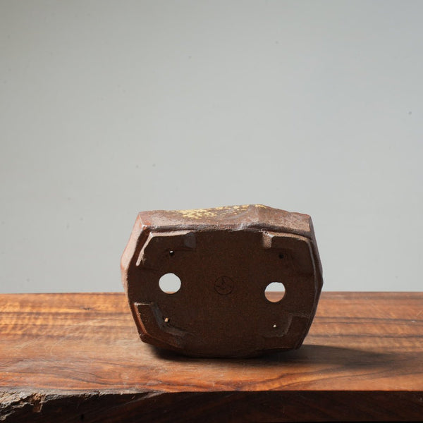 Eric Schrader Ash - Splashed Small Pot #21 - Bonsaify