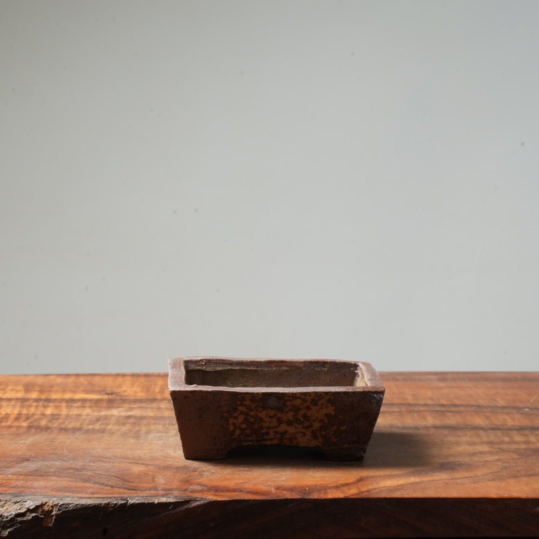 Eric Schrader Ash - Splashed Small Pot #22 - Bonsaify