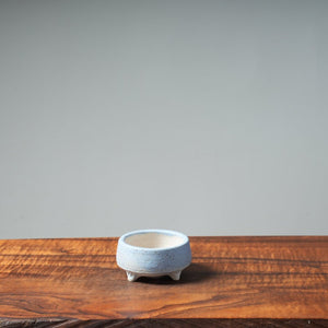 Etsuko Bram "Coastal Haze" #35 - Bonsaify