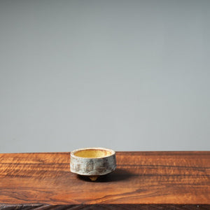 Etsuko Bram "Sunlit Bark" #15 - Bonsaify
