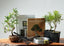 Ficus Bonsai Tree Gift Set for Hobbyists - Bonsaify