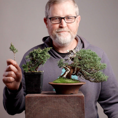 Mastering Shohin Juniper Bonsai: From Cutting to Show Tree - Bonsaify