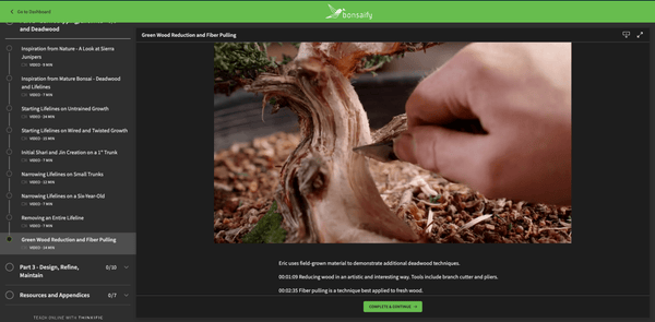 Mastering Shohin Juniper Bonsai: From Cutting to Show Tree - Bonsaify