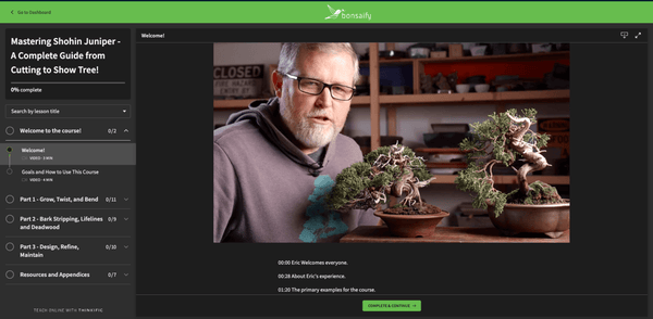 Mastering Shohin Juniper Bonsai: From Cutting to Show Tree - Bonsaify