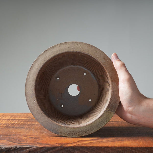 Mitunobu Ito Ash-Tinged Large Hat-Rimmed Round Bonsai Pot - Bonsaify