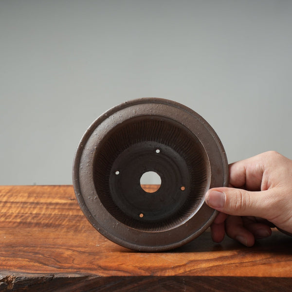 Mitunobu Ito Hat-Rimmed Round Bonsai Pot - Bonsaify