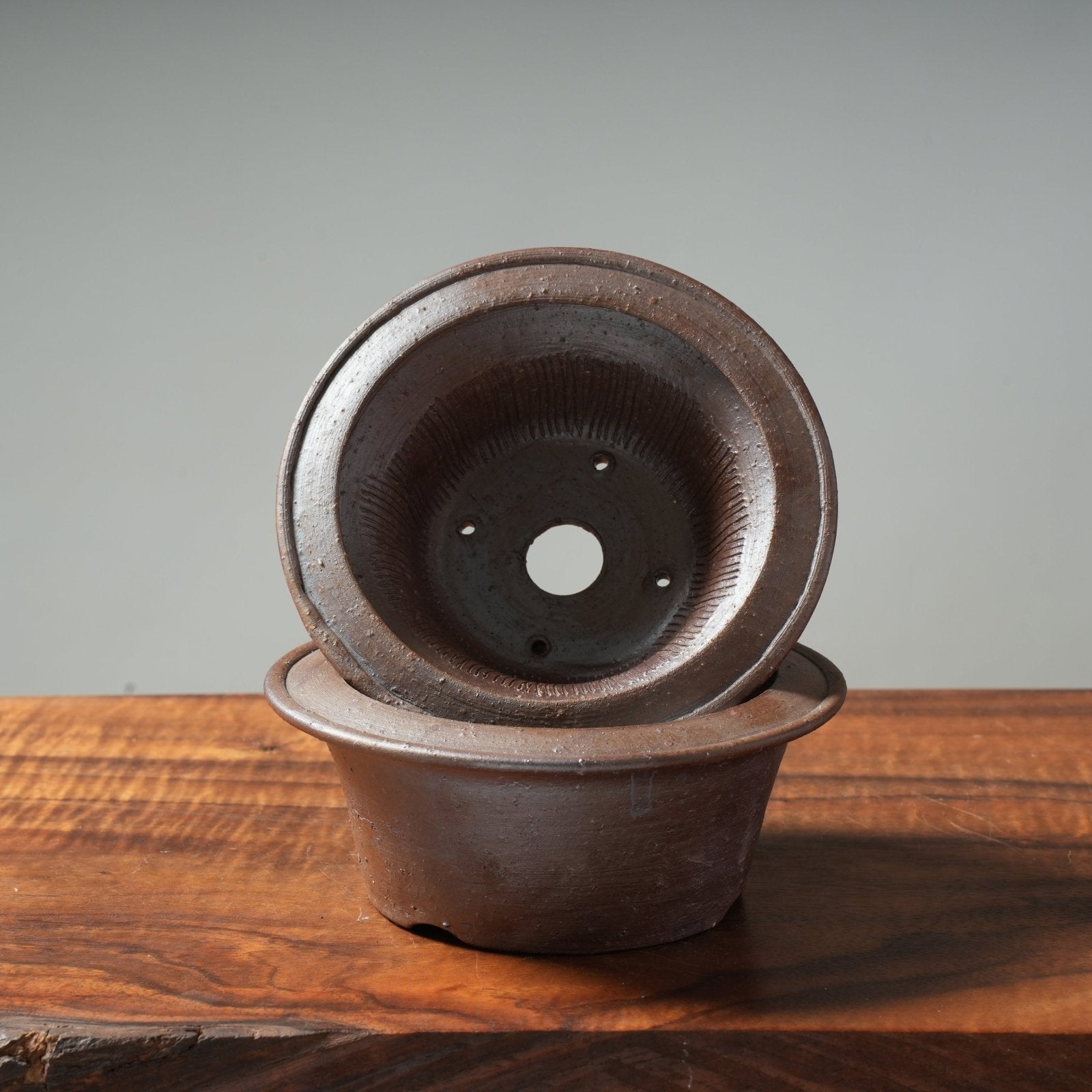 Mitunobu Ito Hat-Rimmed Round Bonsai Pot - Bonsaify