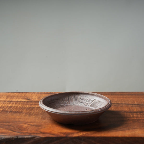 Mitunobu Ito Medium Shallow Round Bonsai Containers - Bonsaify