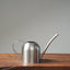 Precision Stainless Steel Watering Can for Bonsai & Houseplants - Bonsaify