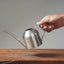 Precision Stainless Steel Watering Can for Bonsai & Houseplants - Bonsaify