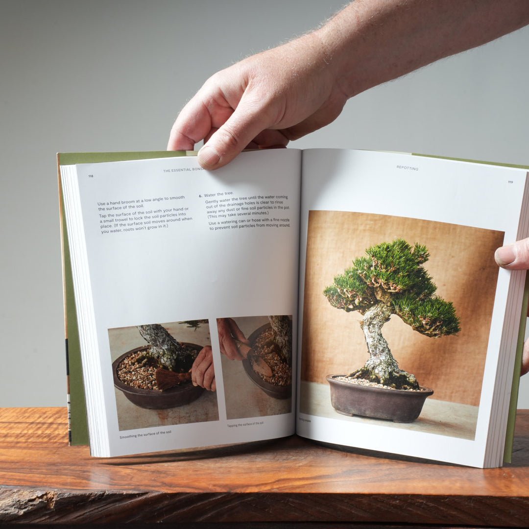 The Essential Bonsai Book By Jonas Dupuich – Bonsaify