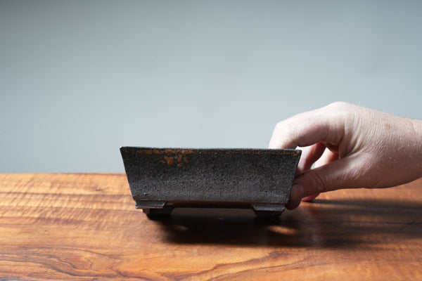 Arakawa Ash-Splashed Shohin Deep Rectangles - Bonsaify