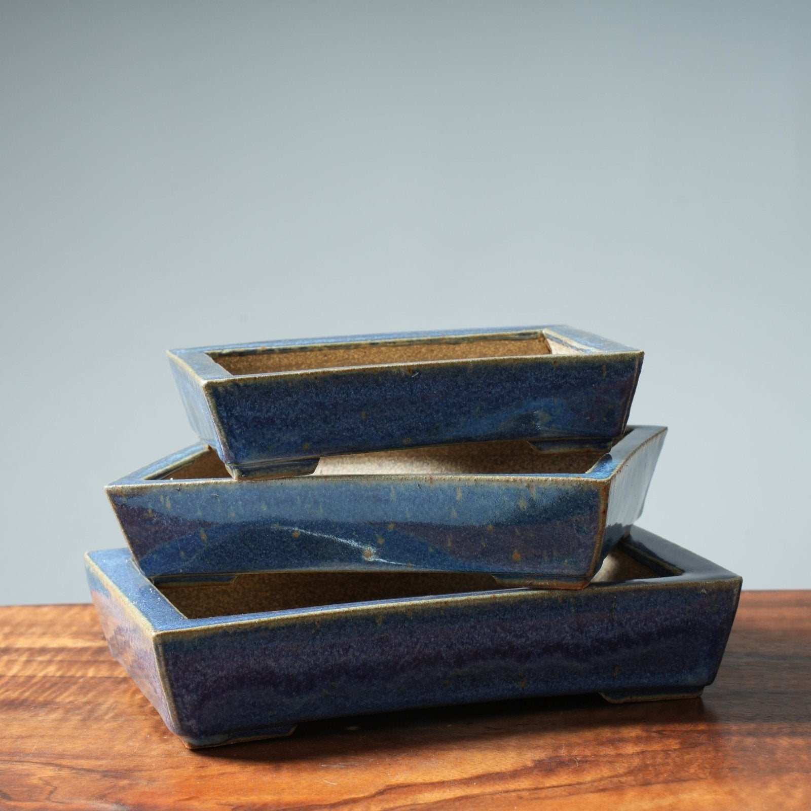 Arakawa Flared Waterlilies Rectangle - Bonsaify