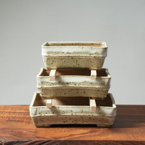Arakawa "Foamy Latte" Deep Glazed Rectangles - II - Bonsaify