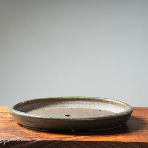 Arakawa "Oribe Meadow" Shallow Oval Bonsai Pot - Bonsaify