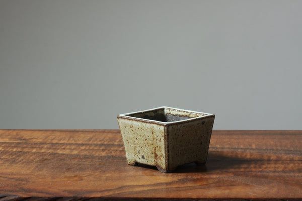 Arakawa Small Glazed Squares - Bonsaify