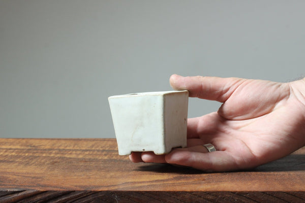 Arakawa Small Glazed Squares - Bonsaify