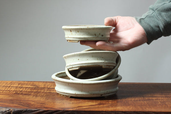Arakawa "Sparrow Egg" Glazed Ovals - Bonsaify