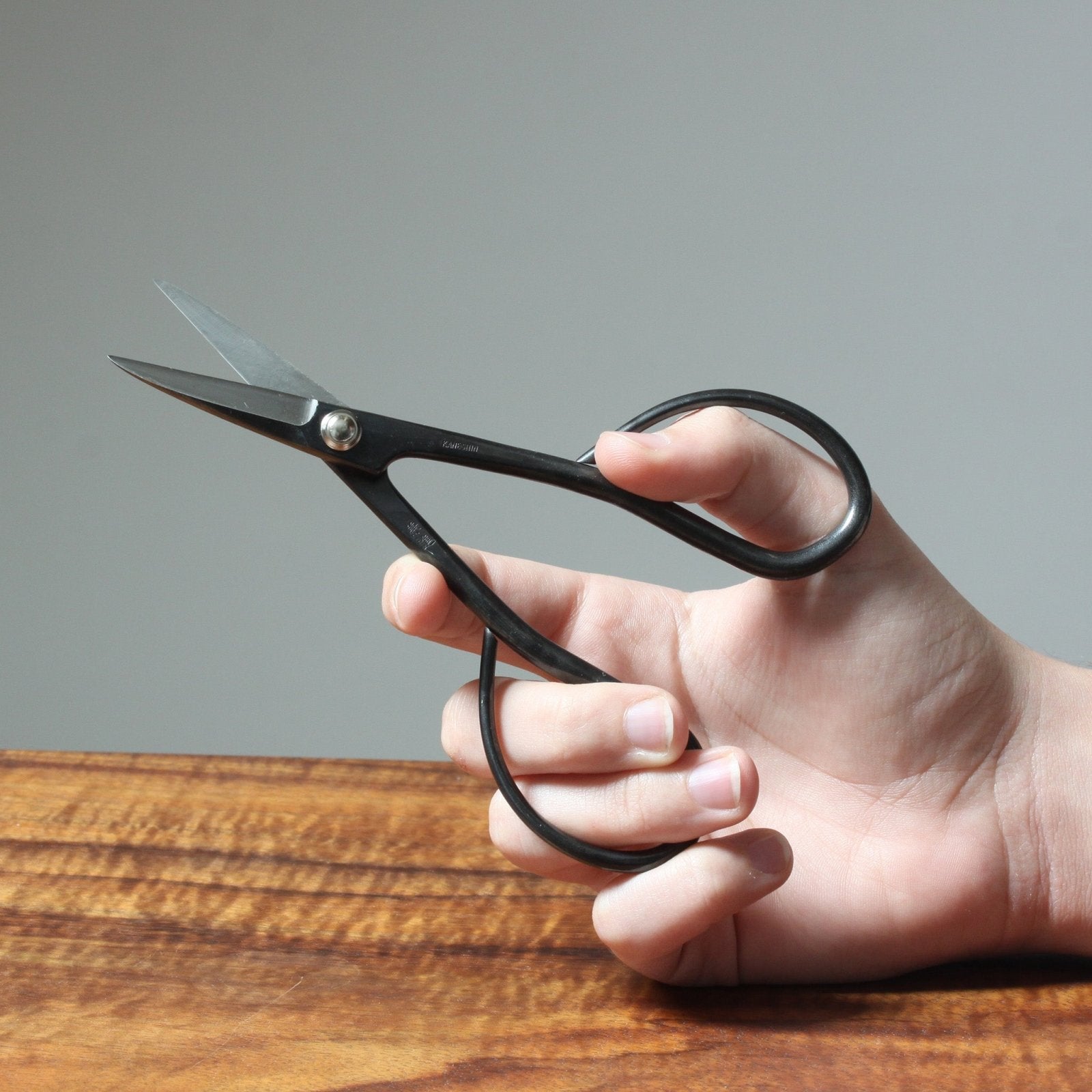 bonsai tree scissors Bonsaify