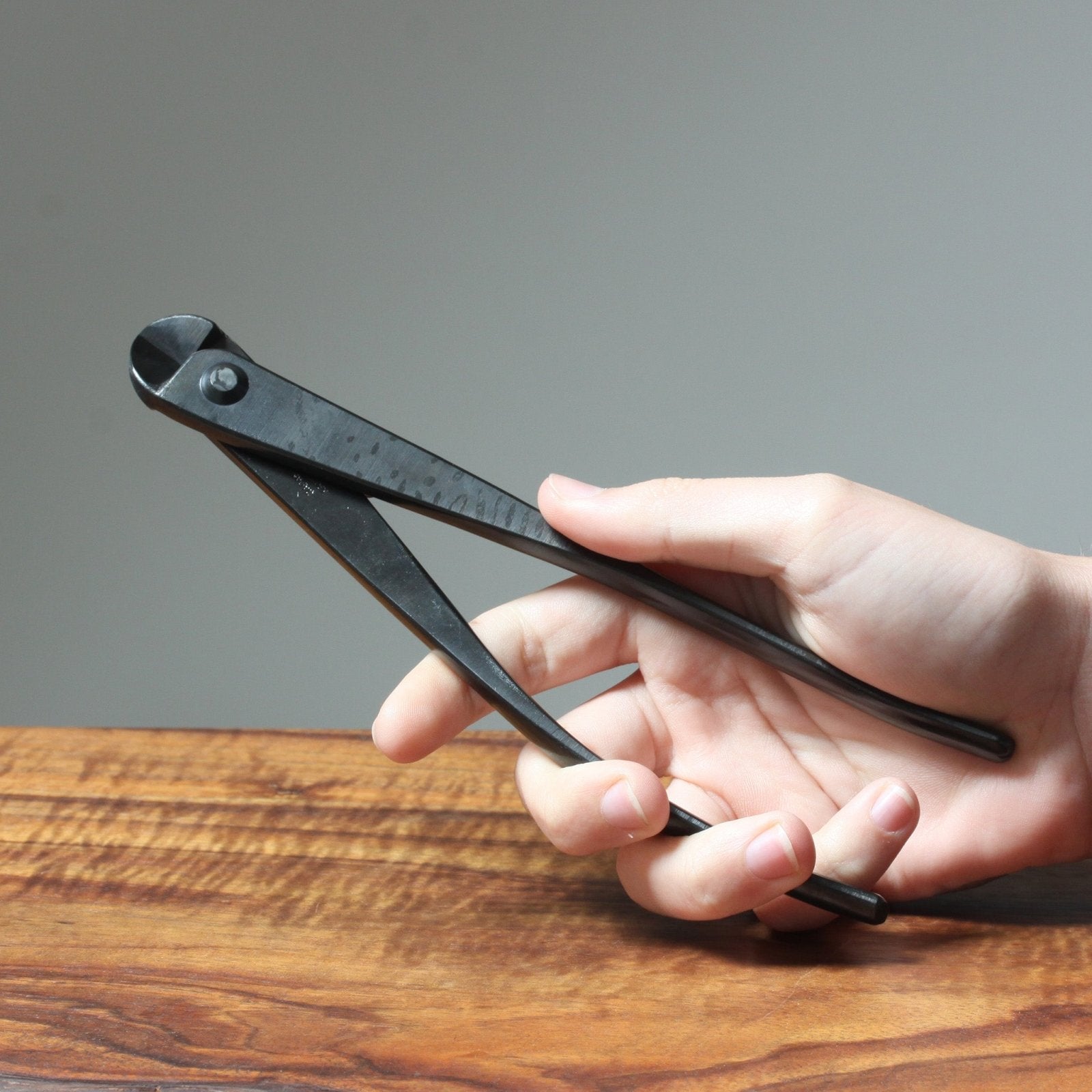 Bonsai Wire Cutters - Bonsaify
