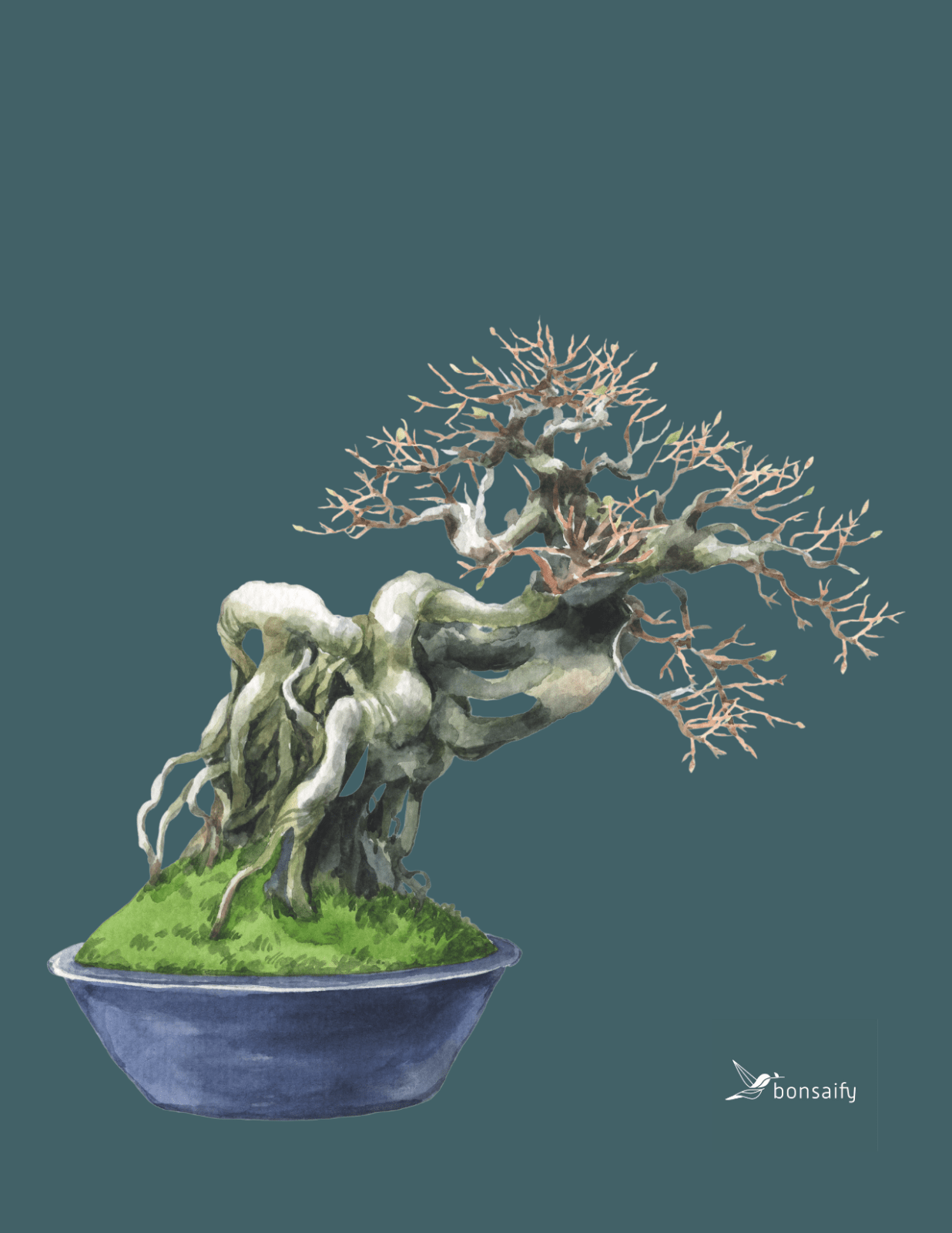 bonsai tree card Bonsaify Note Card - Use for Gifts! - Note Card