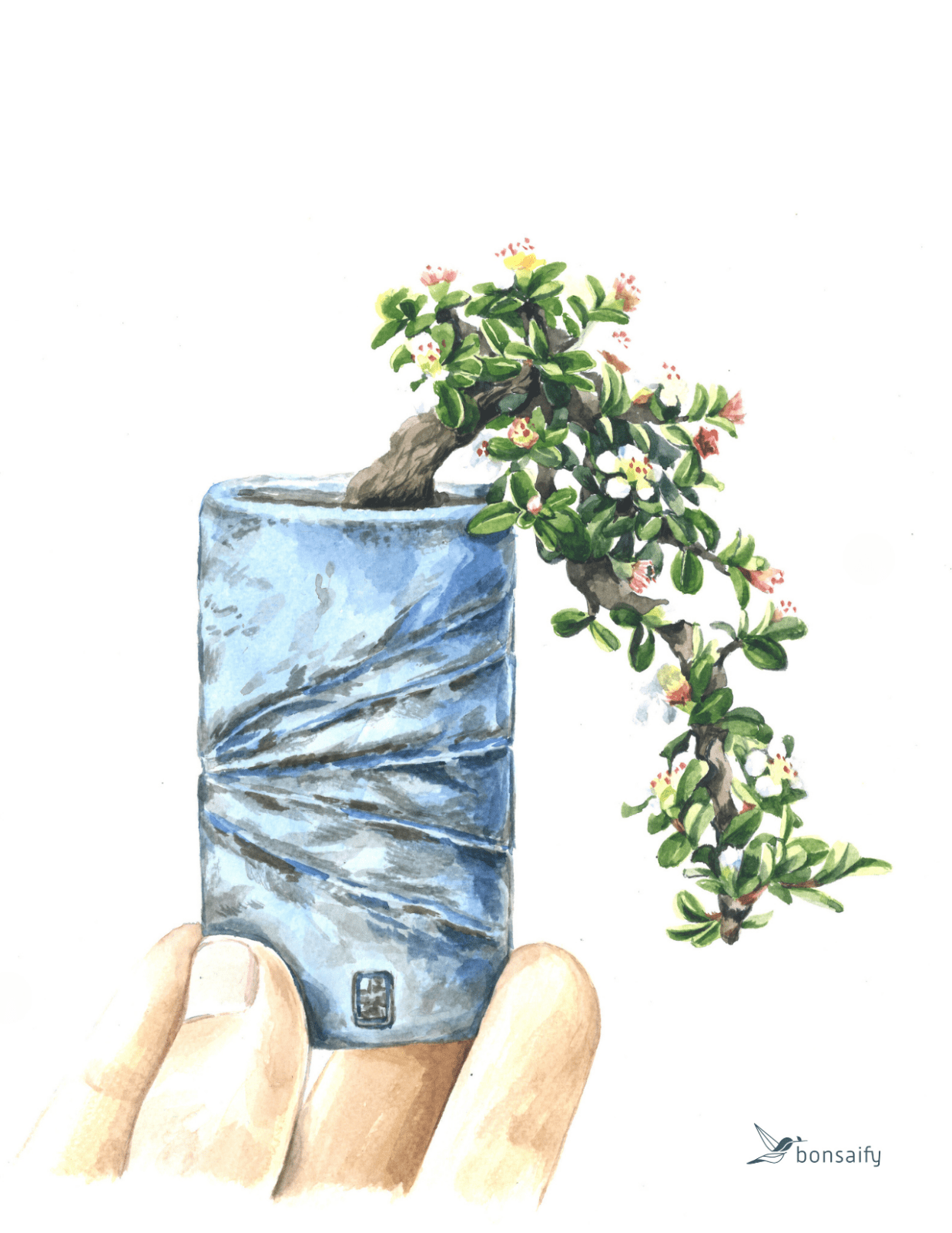 bonsai tree gift message Bonsaify