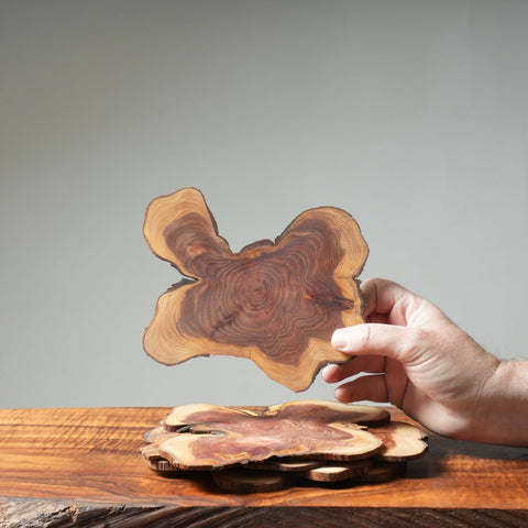 Hand-Finished Juniper Display Slab - Bonsaify