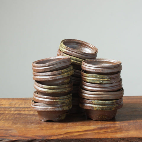 Mitunobu Ito Double-Banded Mini Round Bonsai Pot - Bonsaify