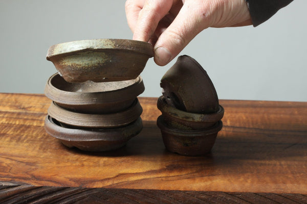 Mitunobu Ito Ribbon Rim Distorted Bonsai Pot - Bonsaify