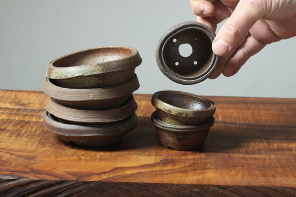 Mitunobu Ito Ribbon Rim Distorted Bonsai Pot - Bonsaify