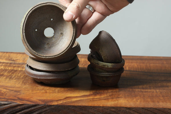 Mitunobu Ito Ribbon Rim Distorted Bonsai Pot - Bonsaify